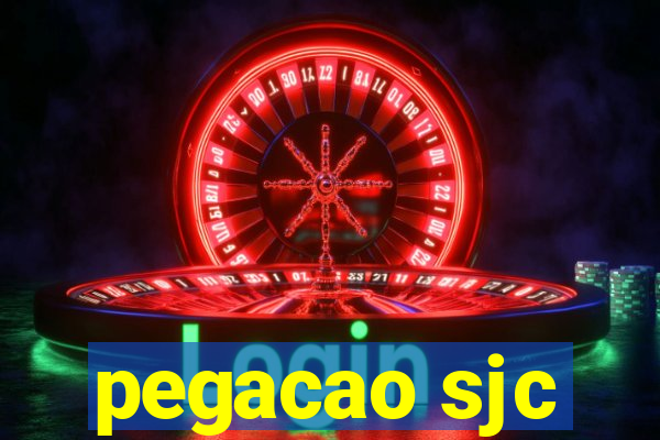 pegacao sjc
